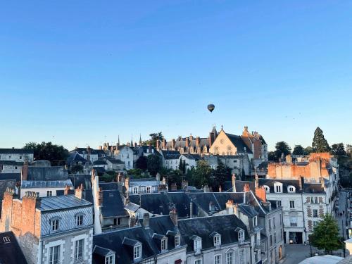 Le Nid de Saint Honoré - sur les toits de Blois - Location saisonnière - Blois