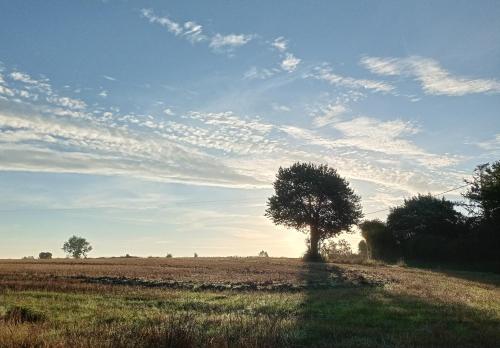 Au Mont & Merveilles - Chambre d'hôtes - Sartilly-Baie-Bocage