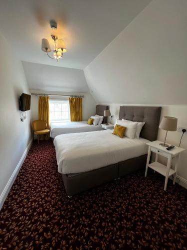 Tom Dick and Harriet's Accommodation, Dublin (fotografie 2)
