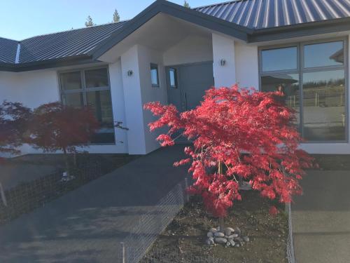 Nice & New, Twizel (photo 3)