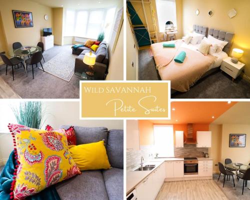 Wild Savannah 1 Bedroom flat Petite Suites