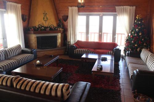 Villa Rustica - image 9