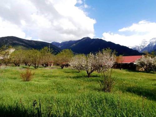 Villa Rustica - main image