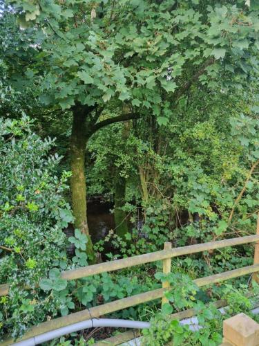 Glamping Hut - Riverview 4 Glamping Hut - Riverview 4