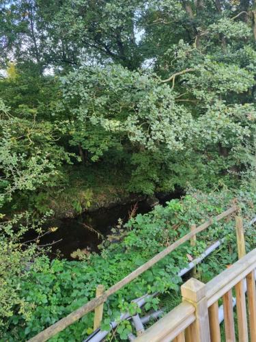 Glamping Hut - Riverview 4 Glamping Hut - Riverview 4