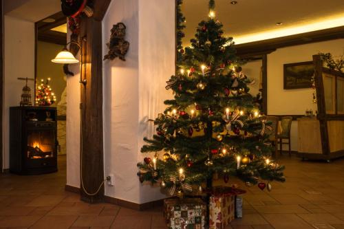 Hotel Berglandstubel in Muldenhammer