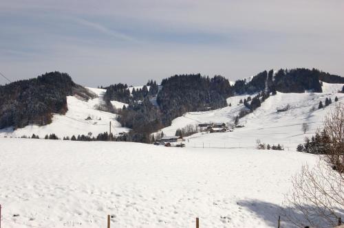 Ferienwohnung Steibis / Allgäu