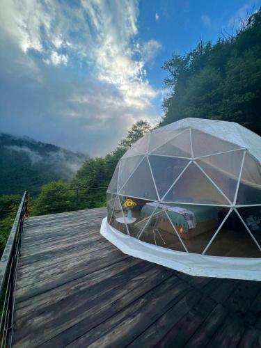 Accommodation in Ch'ak'vist'avi