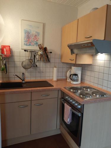 Ferienwohnung Evangeline Borsch - image 6