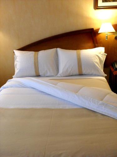 InterTower Hotel, Santa Fe (Foto 9)