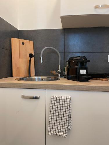 Gesamte Unterkunft im Zentrum von Wien Top 27, Vídeň (fotografie 5)