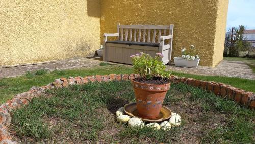 Casa Rural Alameda con chimenea y jardín (Casa Rural Alameda con chimenea y jardin) in El Barco de Avila