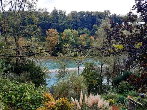 Aareggli in Bern, Schweiz