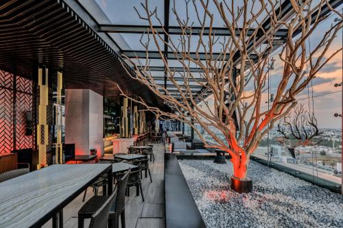 普埃布拉安盖罗波利斯盛大嘉年华美洲酒店 普埃布拉安盖罗波利斯盛大嘉年华美洲酒店