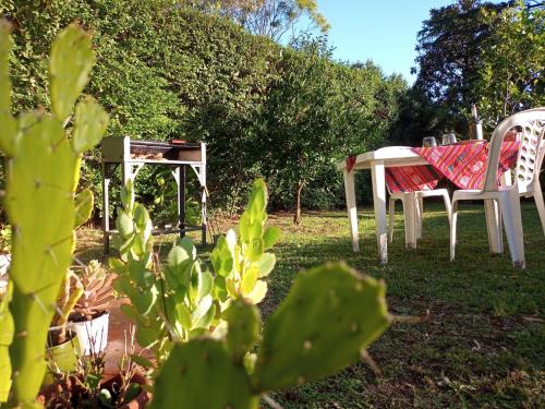 Cabaña monoambiente con pileta y jardín arbolado