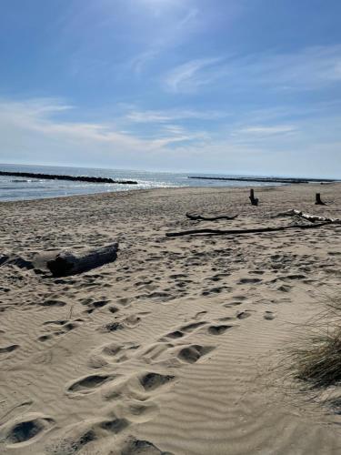 Pantai, Superbe studio, terrasse, piscine, parking in Le Grau-du-Roi