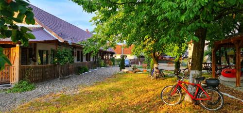 B&B Săpânţa - La Romaneasa - Bed and Breakfast Săpânţa