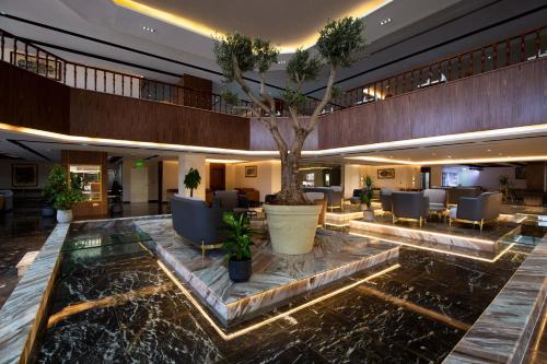 Παροχές, Petra Moon Luxury Hotel in Πέτρα