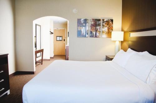 Holiday Inn Express Hotel & Suites Watertown - Thousand Islands, an IHG Hotel