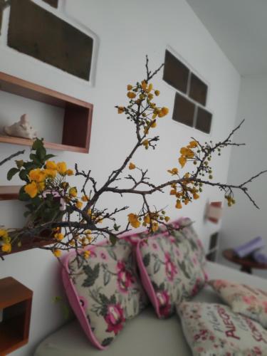 Anacardium, Canoa Quebrada (fotografie 11)