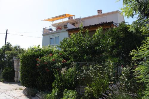  Apartments and rooms with parking space Bozava, Dugi otok - 8100, Pension in Božava
