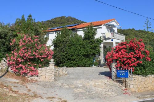 Apartments with a parking space Preko, Ugljan - 8224 - Location saisonnière - Preko