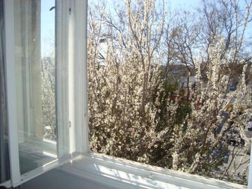 Riki Accommodation – Split, MD