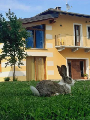  Agriturismo Fior Di Campo, Dronero bei San Giovanni