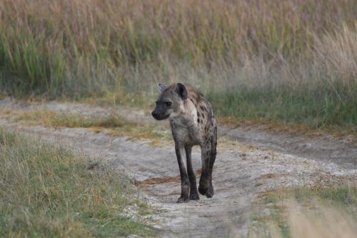 Ngangane Lodge & Reserve