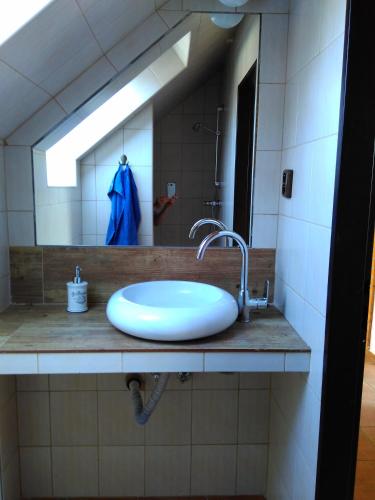 Apartmán na farmě u koní (Apartman na farme u koni) in Zduchovice