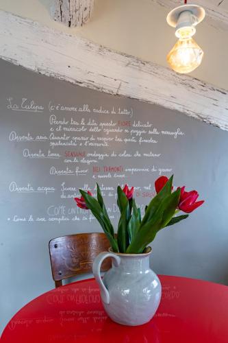 LA TULIPA