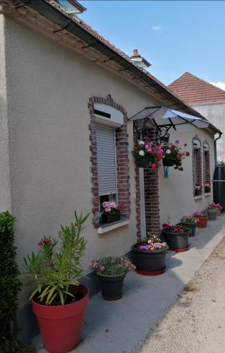 B&B Marcilly-sur-Seine - Maison cocoon et chaleureuse - Bed and Breakfast Marcilly-sur-Seine