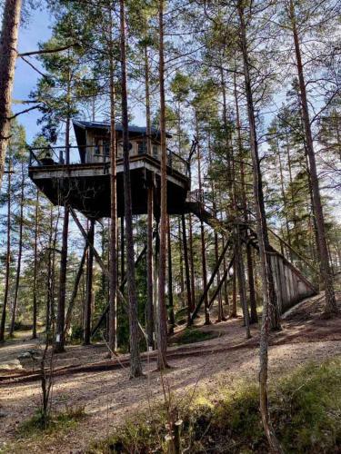 Tretopphytter På Grensen - Elghytta, Stromstad