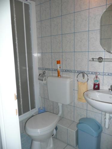 Zsuzsi Vendeghaz