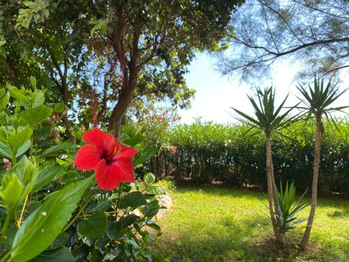 Villa in front of the sea with private garden