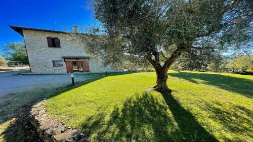 Todi By The Pool-Walk To Todi 5 KmsRestaurant 05 KmsSleeps 10Exc Poolwifi