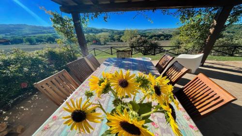  Todi By The PoolExclusive PoolWalk To Todi 5 KmsRestaurant 05 Kmswifi in Petroro