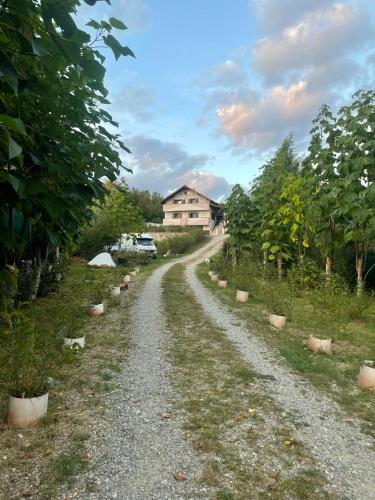 B&B Păuşeşti-Măglaşi - CASUTA MAGICA - Bed and Breakfast Păuşeşti-Măglaşi