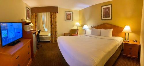 1 twin bed
