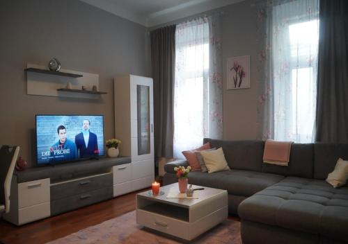  neu-möbliertes Apartment nähe Zentrum in Wien