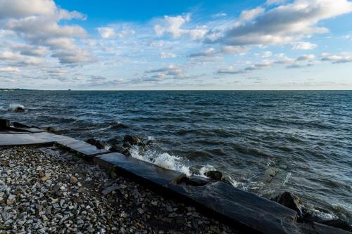 Cozy Lakefront Cottage - main image