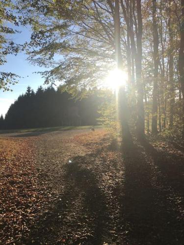 SauerlandBlick Ferienwohnung in Altena
