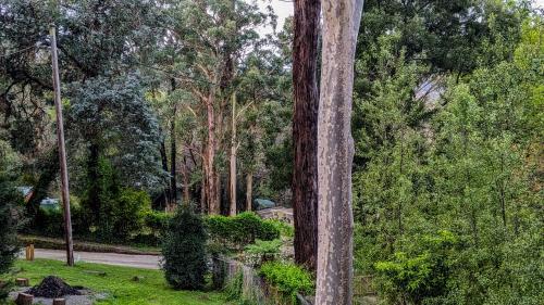 المنظر الخارجي, Peaceful country home in a middle of a rainforest in Cockatoo