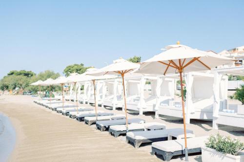 Hotel Damianii