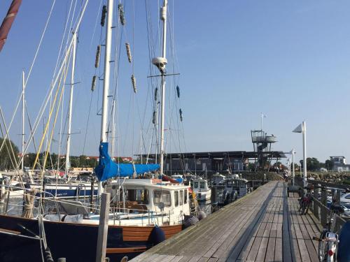 Ein-Steinwurf-zum-Ostseestrand-Ferienwohnung-Martha-mit-Terrasse