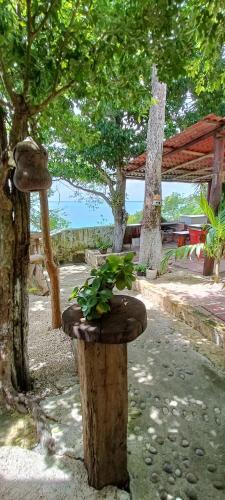 Casa Agua Bacalar / Naajil Ha