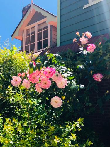 Hawk's Nest Bed & Breakfast Room Type - Queen Room - Gardenia