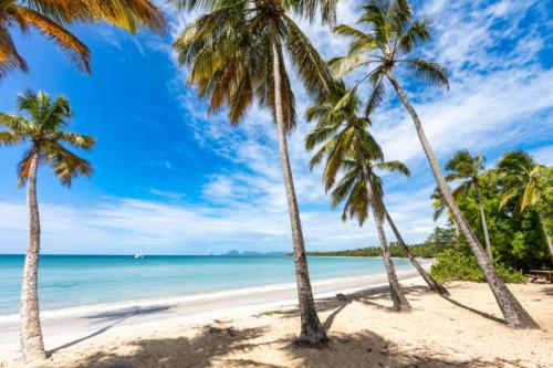 Nearby attraction, Anais location 971 Guadeloupe in Mare Gaillard
