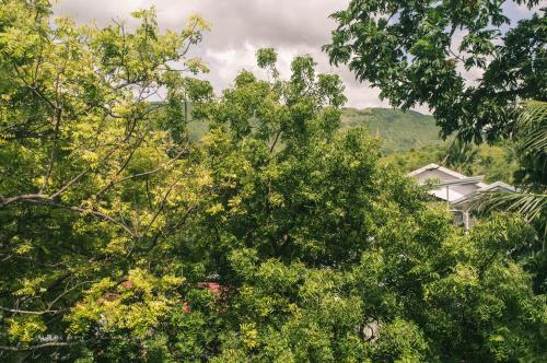 Pobla Hotel Pobla Hotel