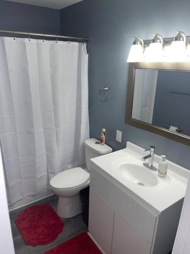 Astonishing 4 bdrm home 30 min to Dwntwn! in Sauk Village, USA